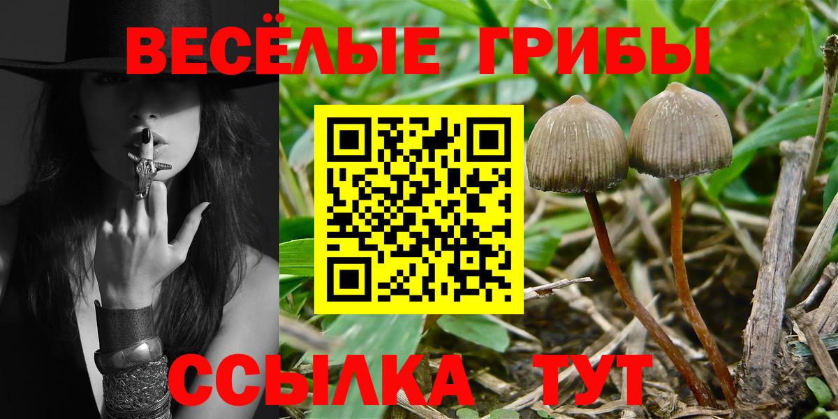 Галлюциногенные грибы мухоморы Светлоград