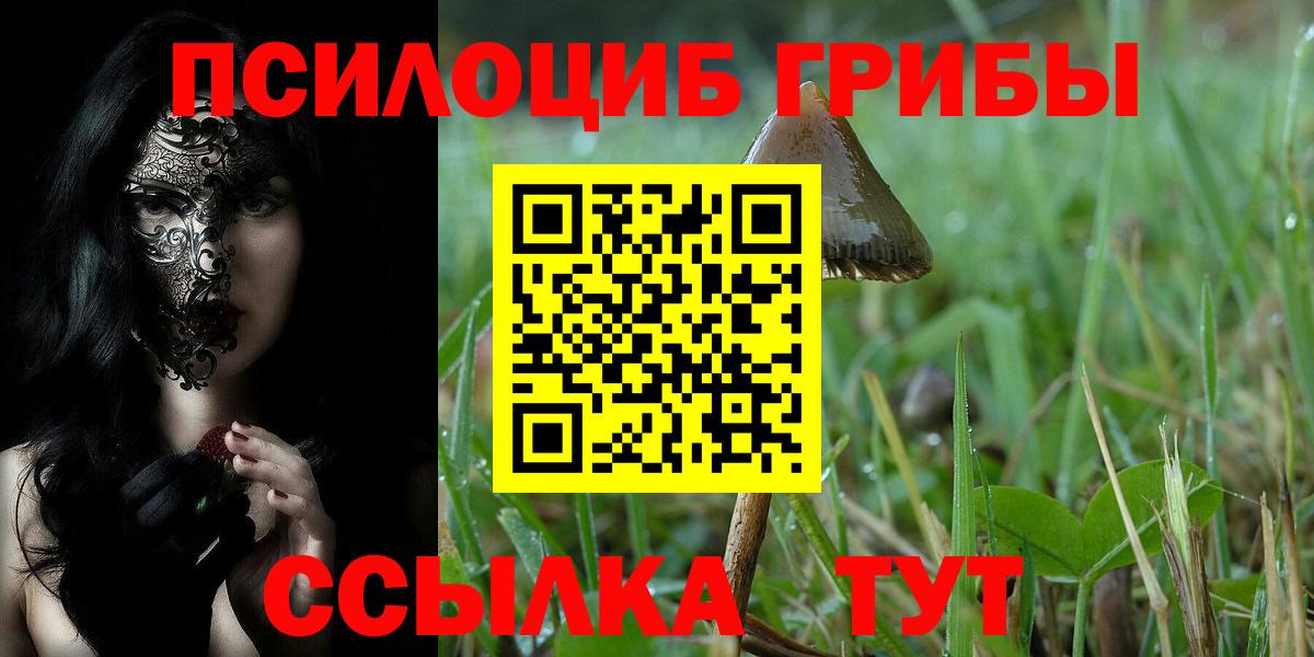 Галлюциногенные грибы MAGIC MUSHROOMS  Вход с VPN  Светлоград 